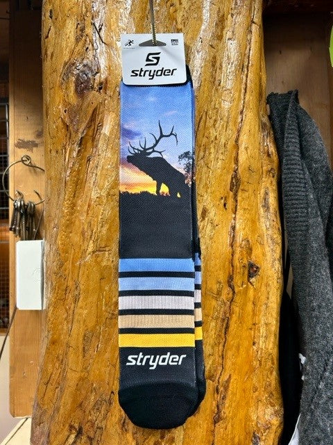 Yellowstone Elk Sunset