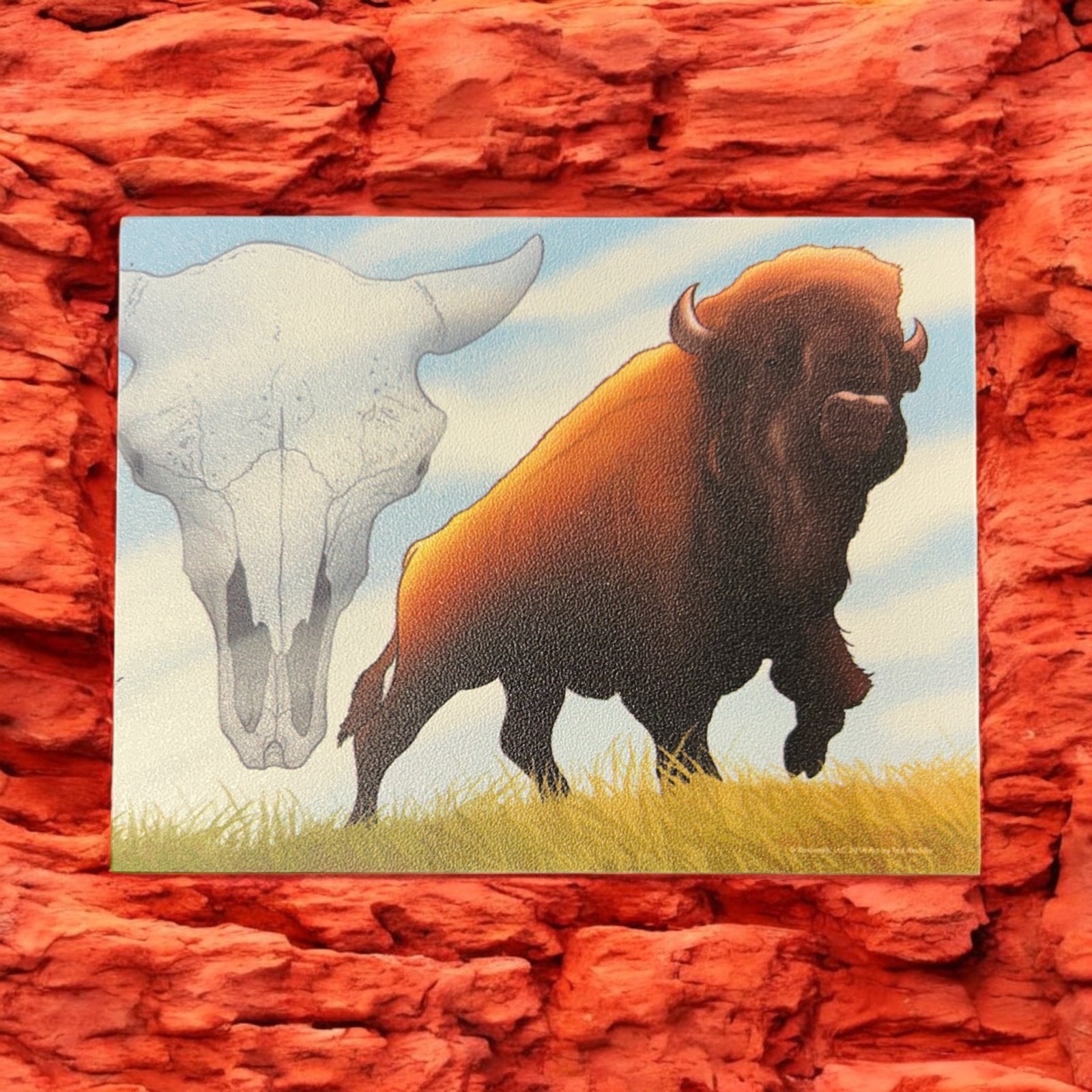 Wood Bison w/Skull Magnet