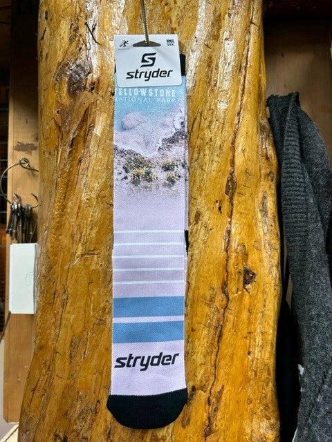 Yellowstone Pool Shoreline