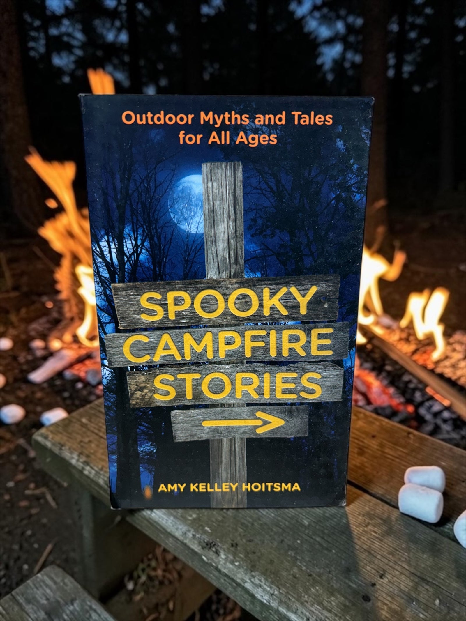 Spooky Campfire Stories 2nd Addition          BKS0436