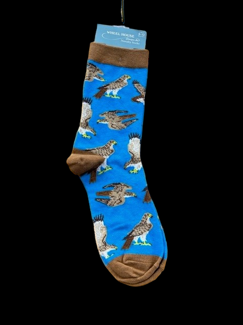 Hawks Socks