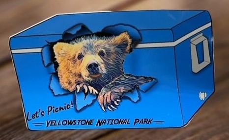 Bear Cooler Sticker