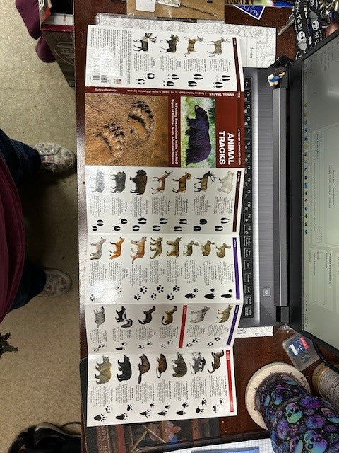 Animal Tracks Pocket Guide              #BKS0201