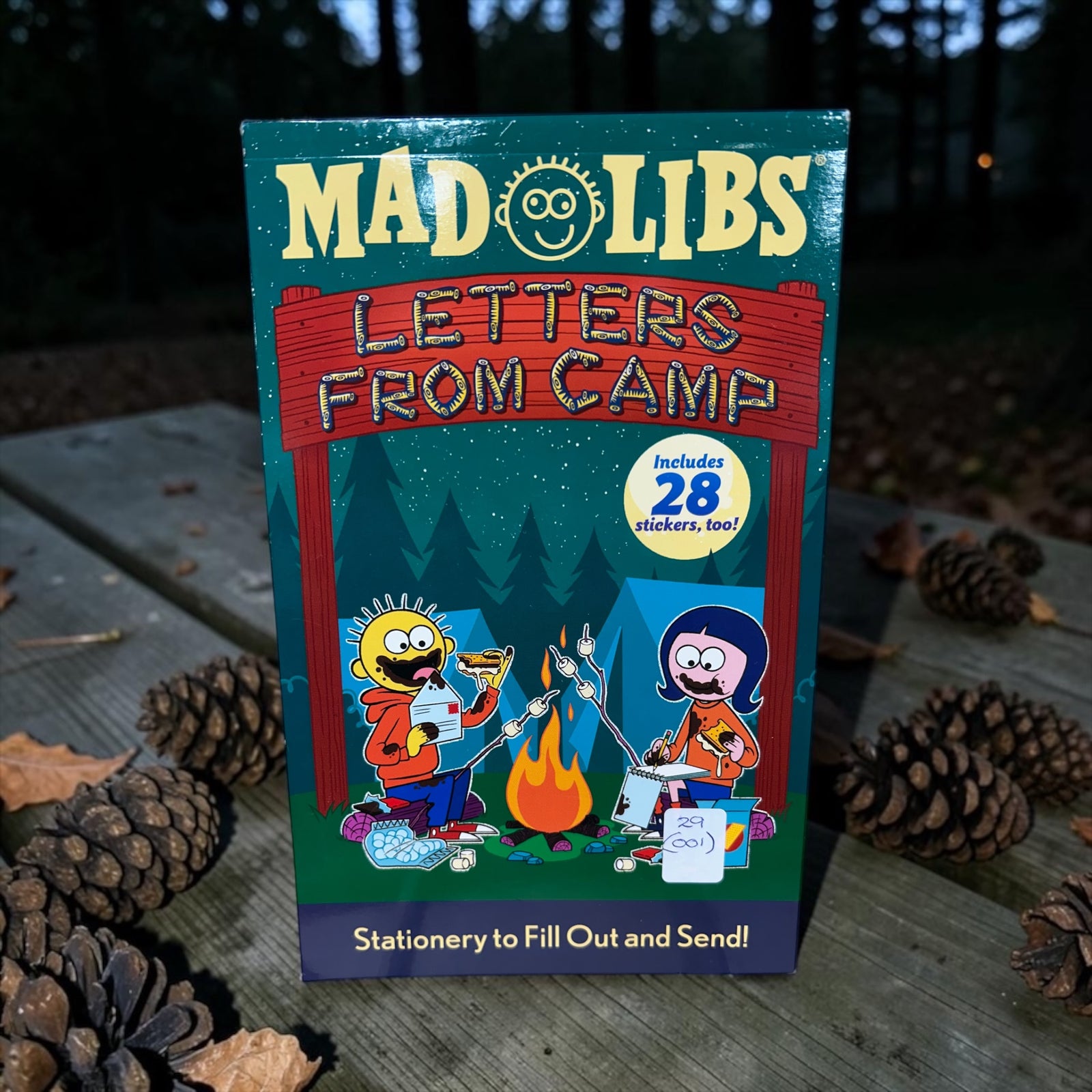 Mad Libs Letters From Camp           BKS0072