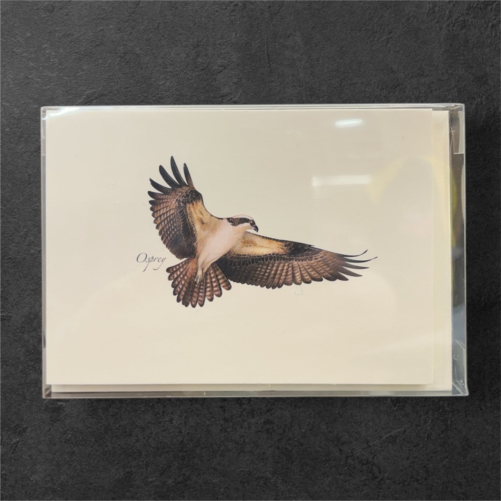Osprey Cards               #NC122