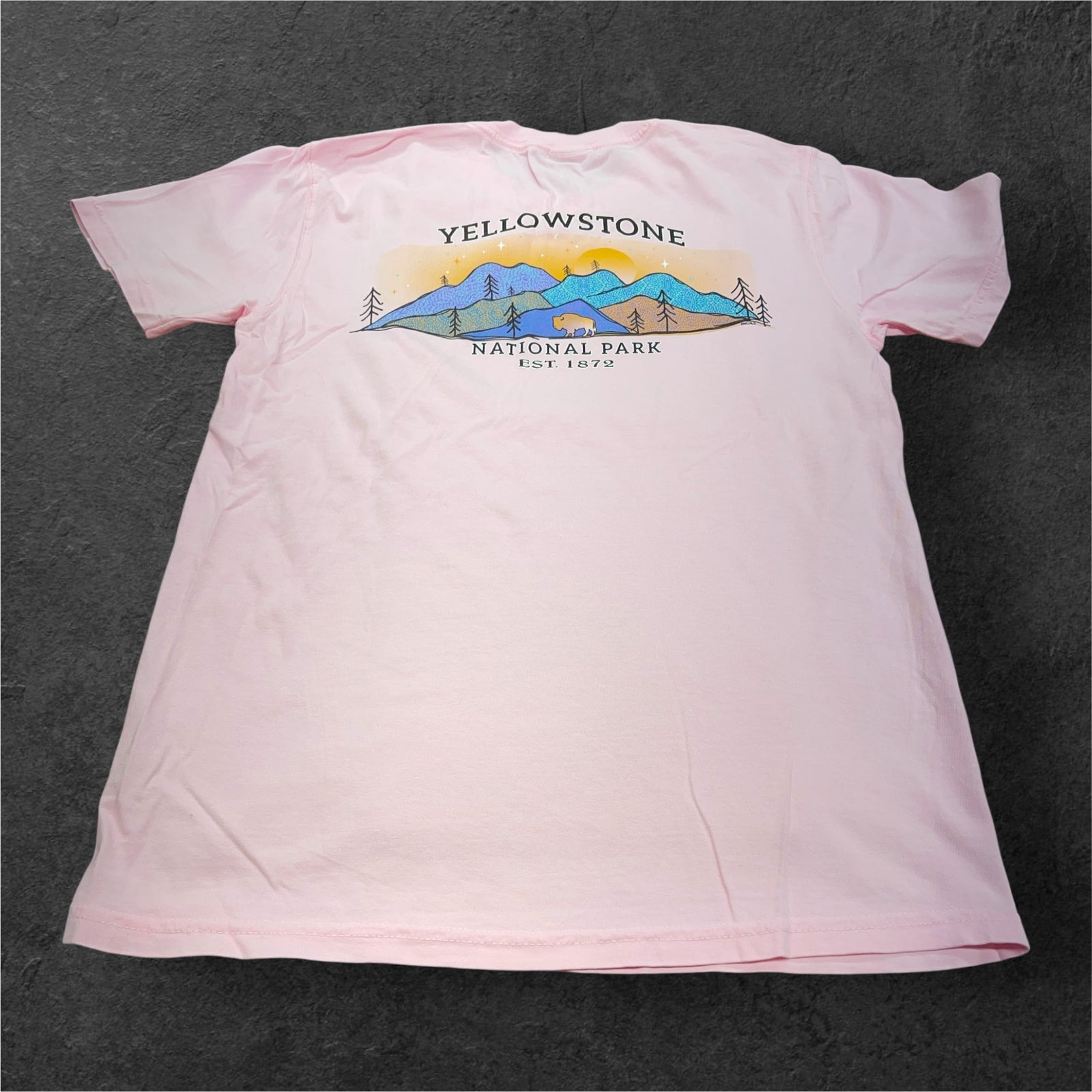 Blossom Dream Bison T-Shirt                                     #SB18977