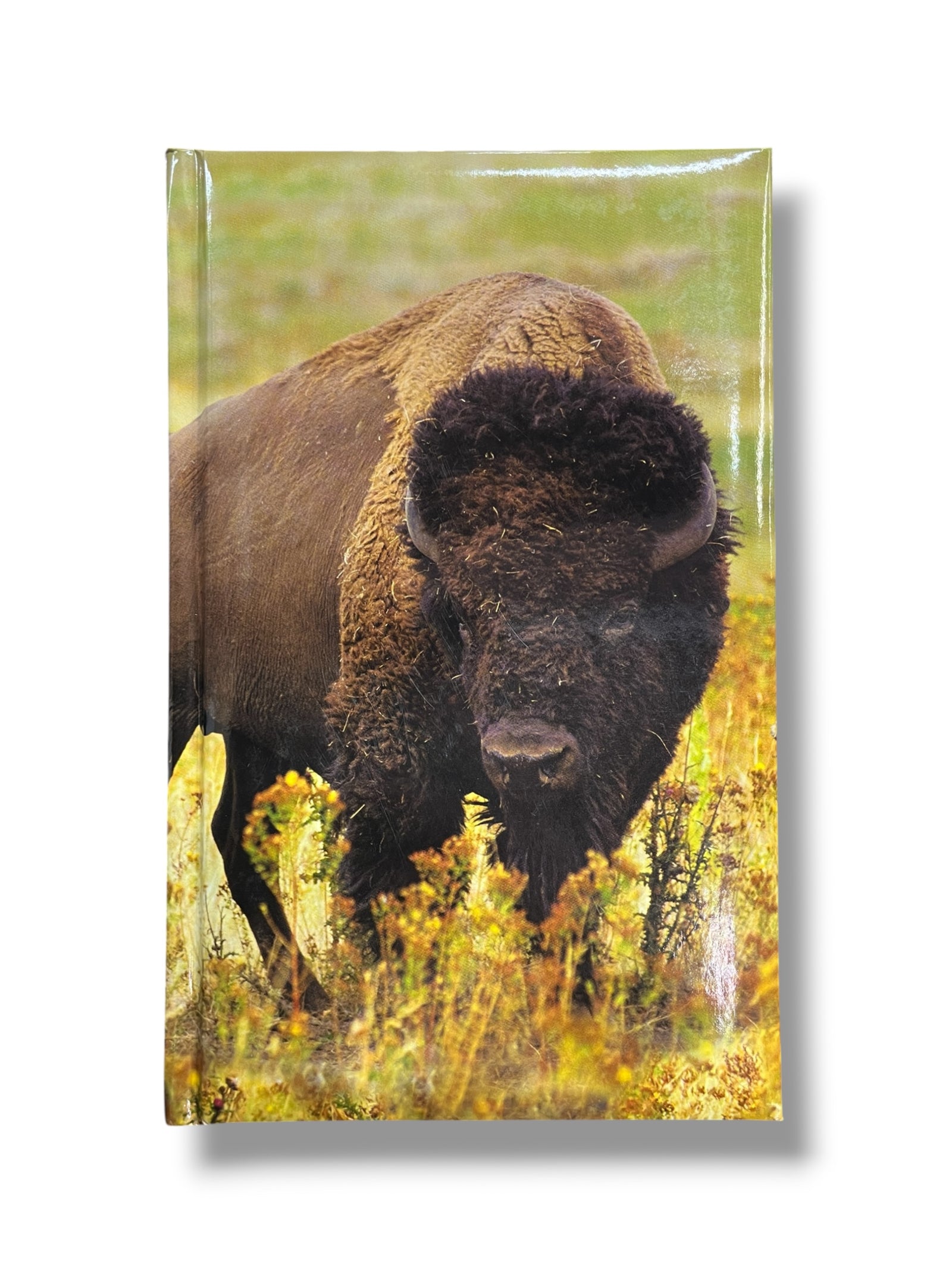 Bison Journal