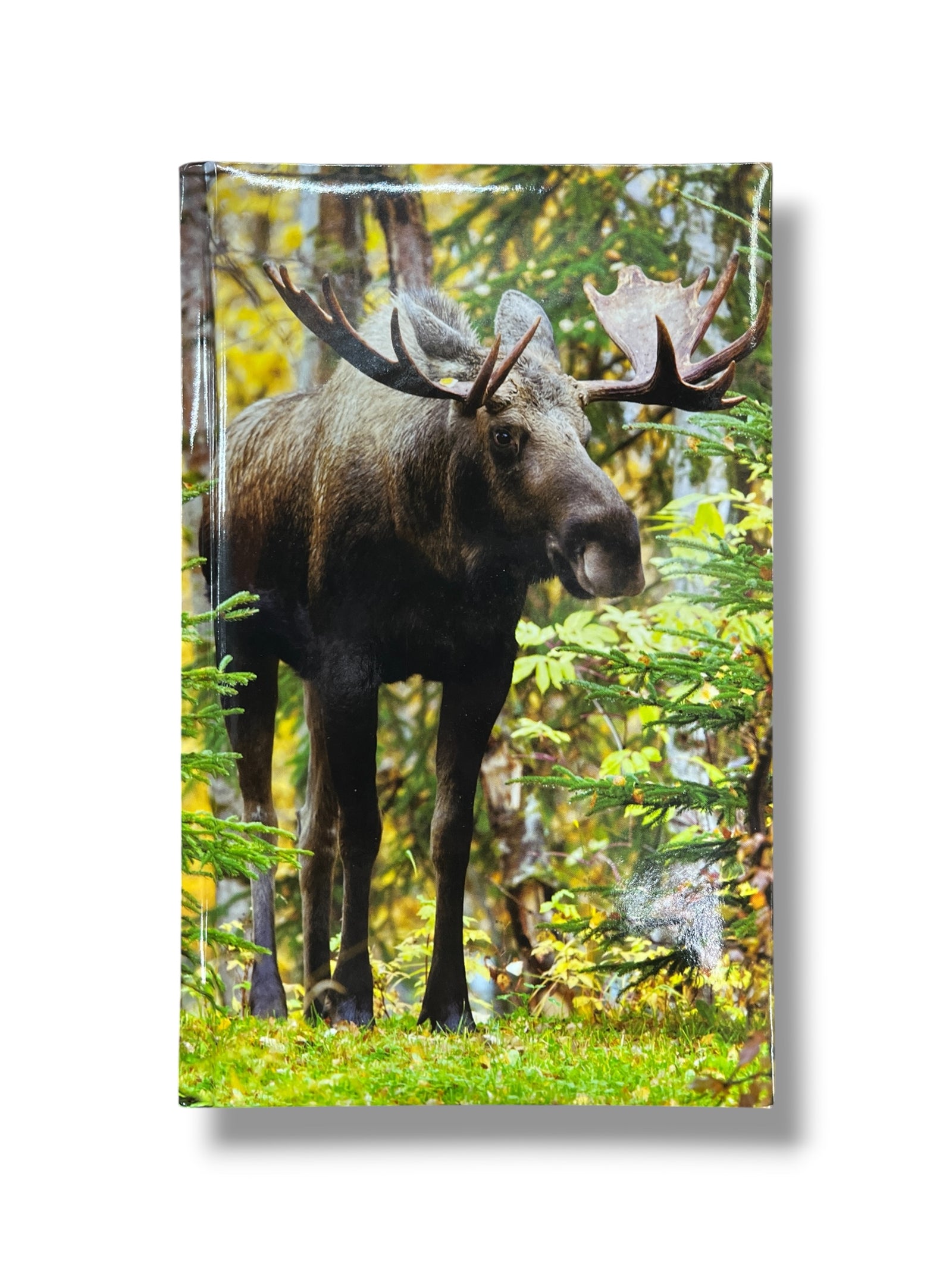 Moose Journal