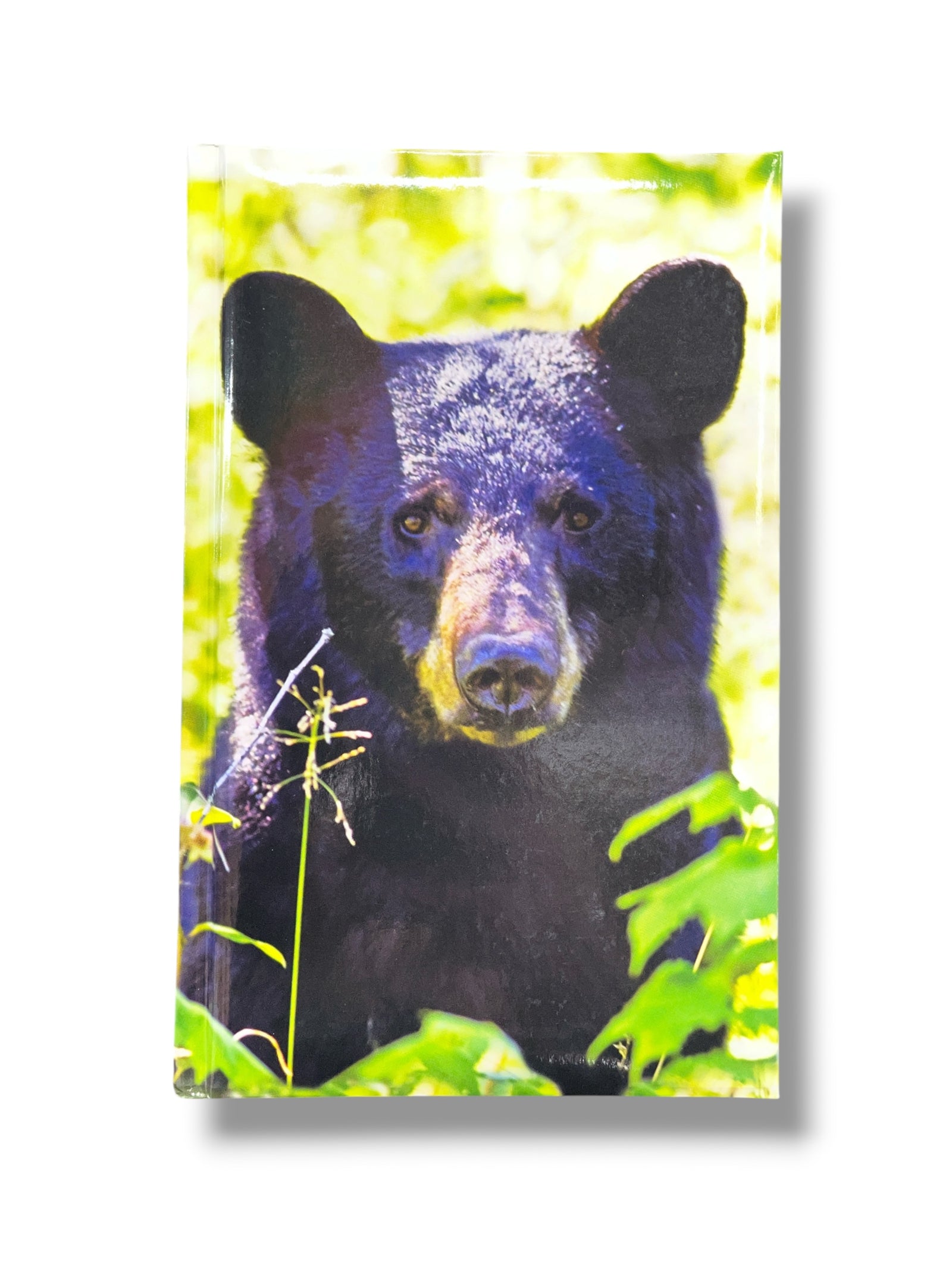 Black Bear Journal