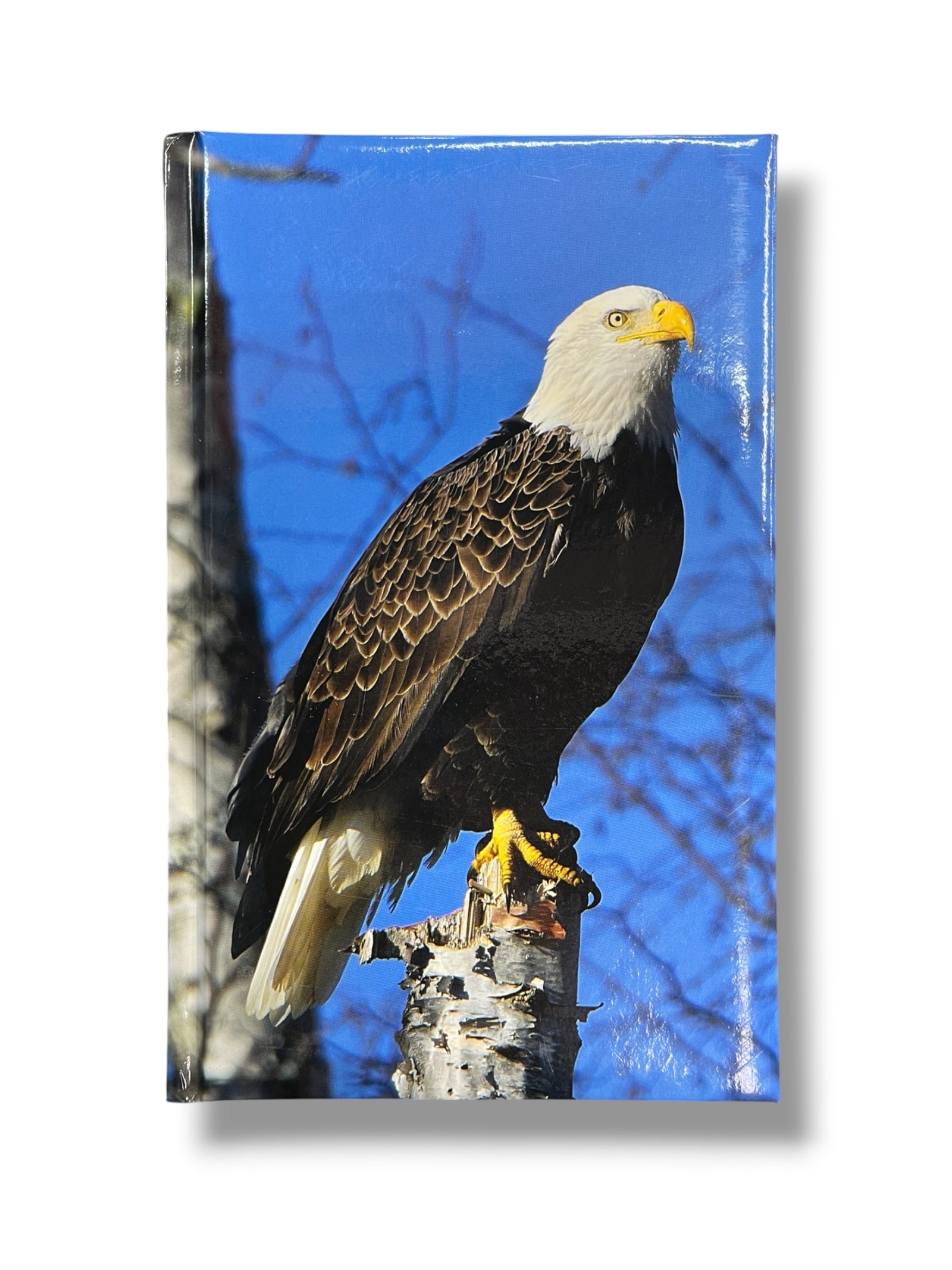 Eagle Journal