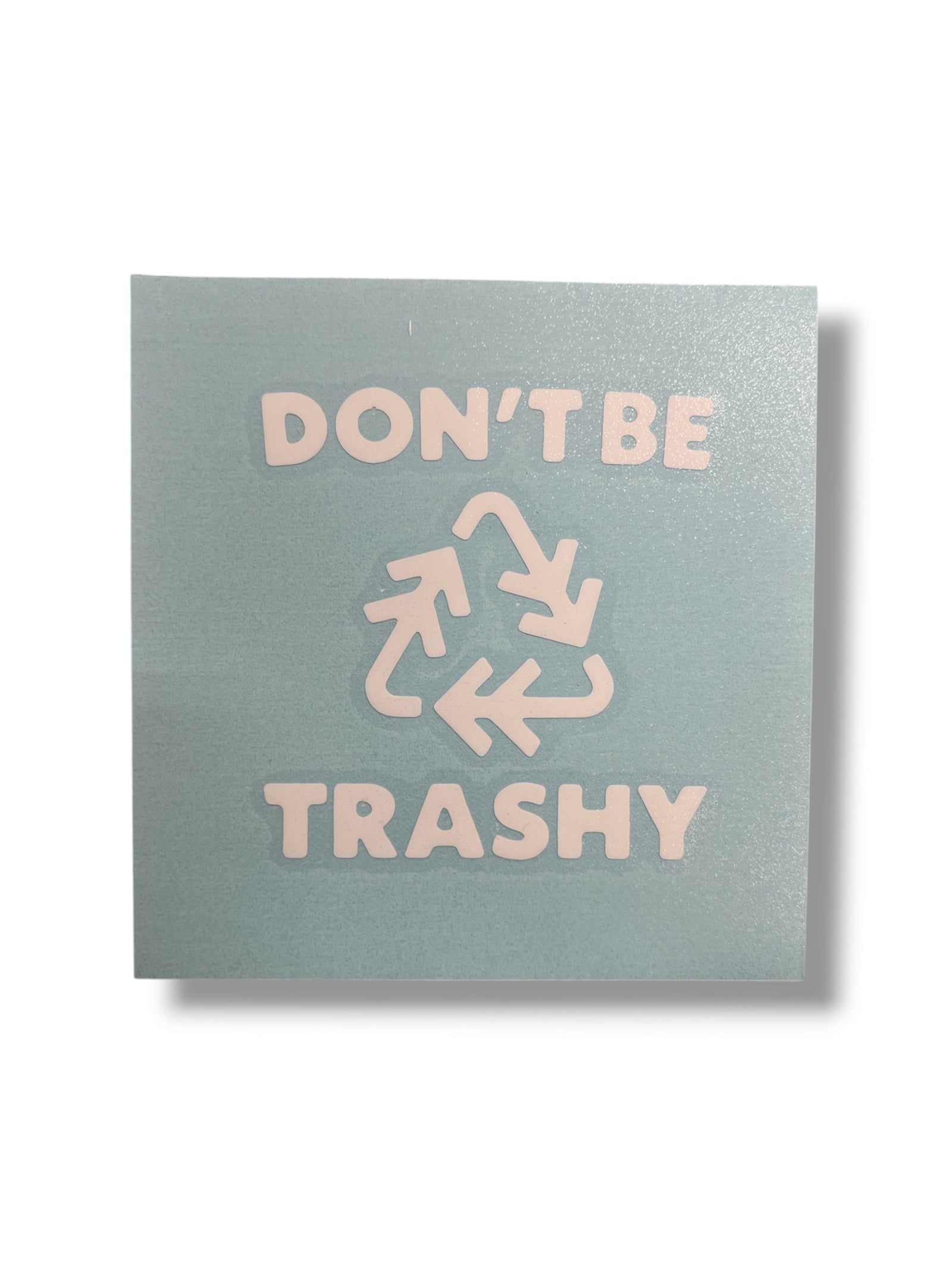 Don’t Be Trashy Decal              #D-DBT-W