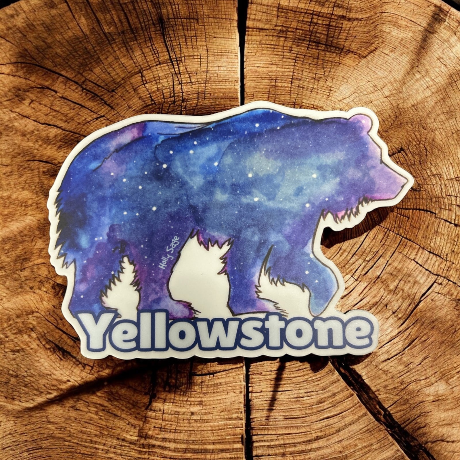 Ursa Major Sticker           #AN120