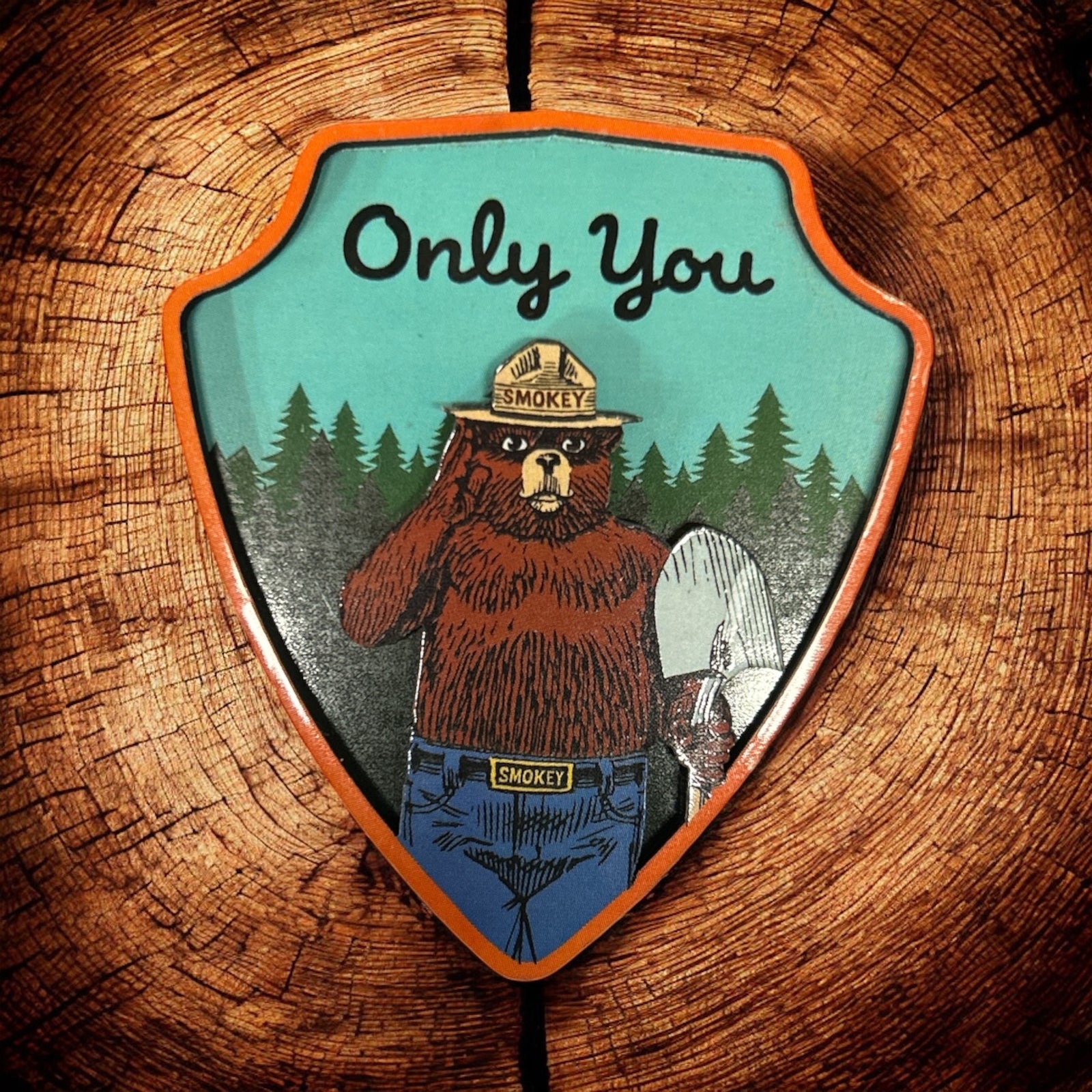 Smokey Bear Arrowhead Magnet                      #SB895-1002