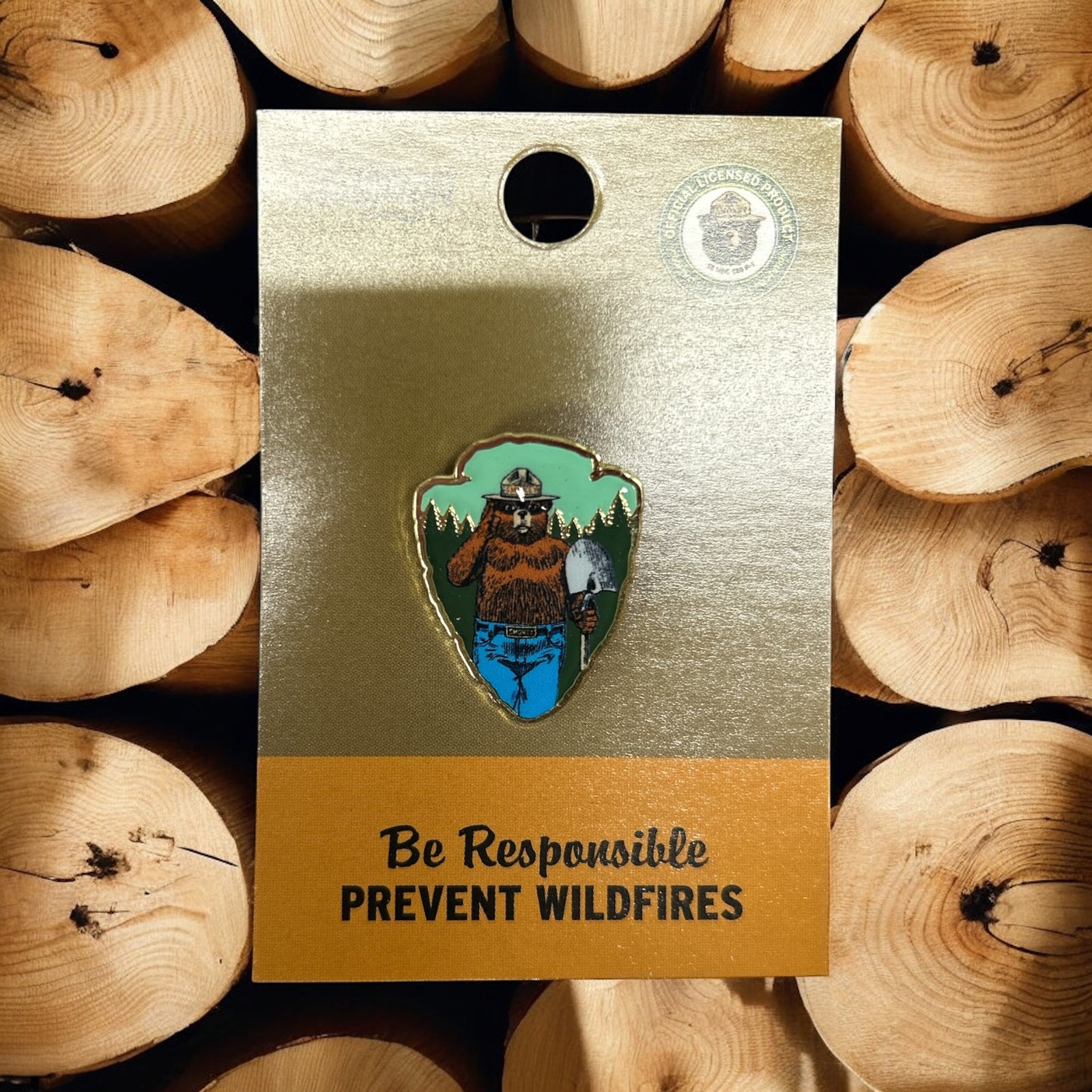 Smokey Bear Arrowhead Pin          #SB895-1009