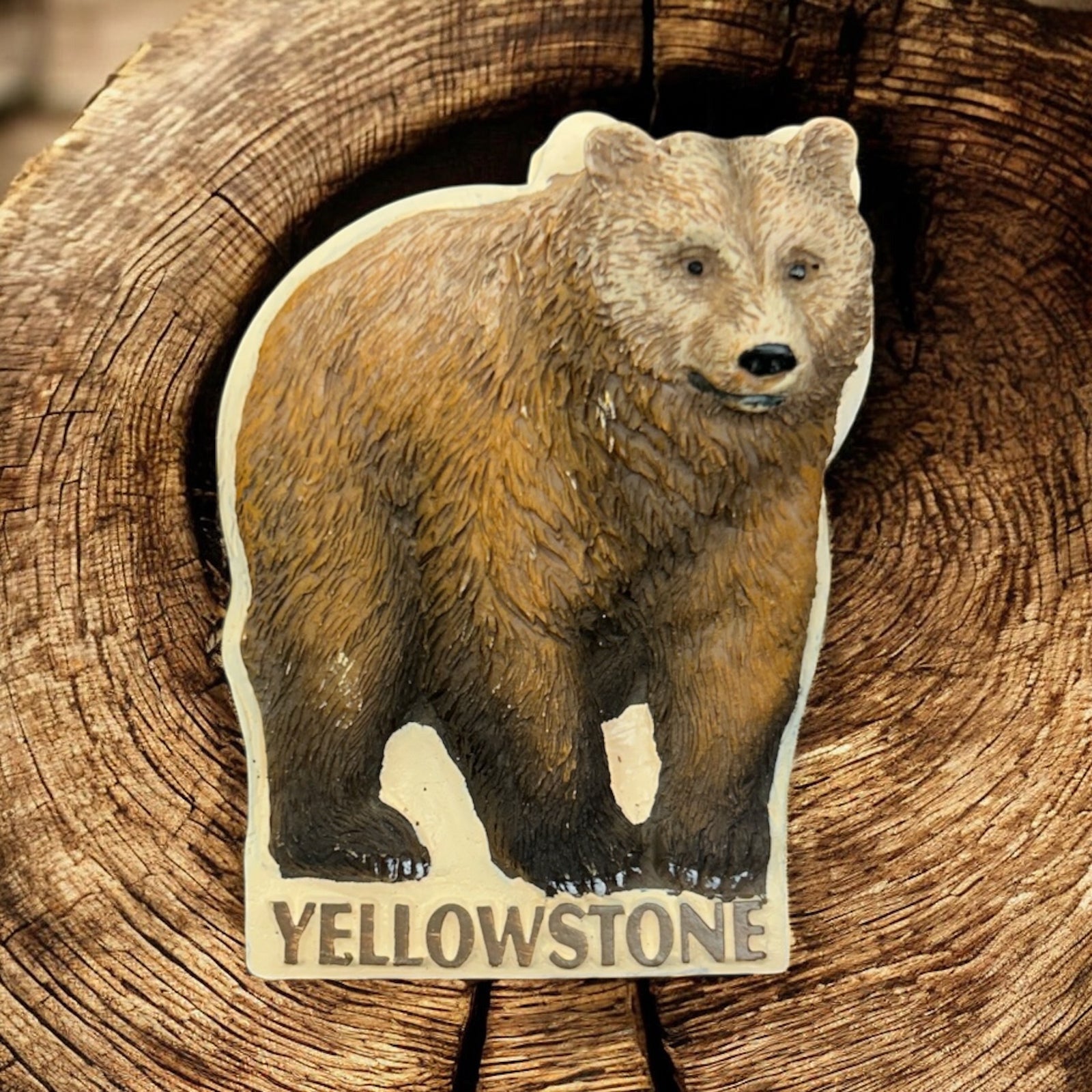 YNP Grizzly Bear Magnet          #150-1083