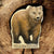 YNP Grizzly Bear Magnet          #150-1083