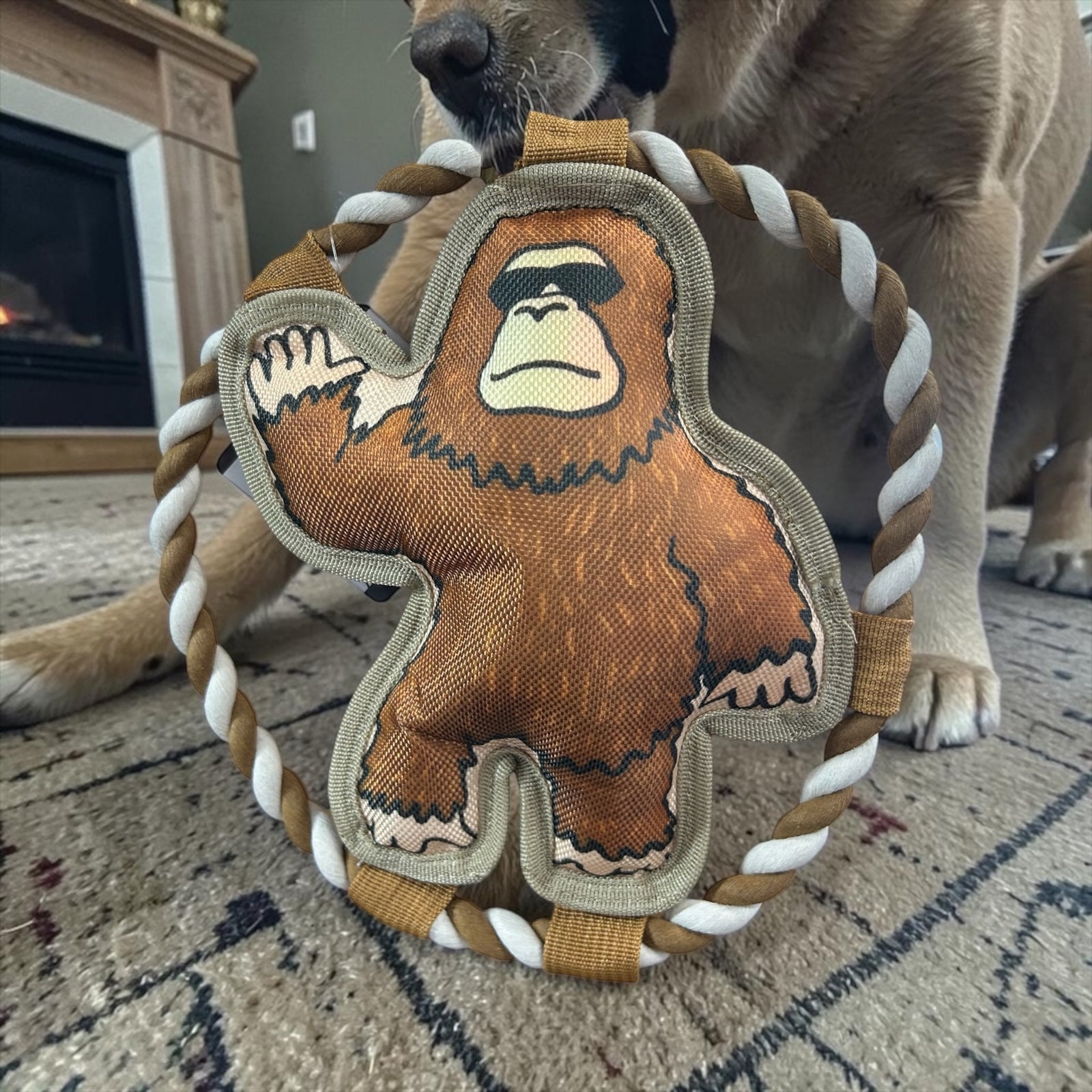 Bigfoot Dog Flyer Chew Toy         HOU0758