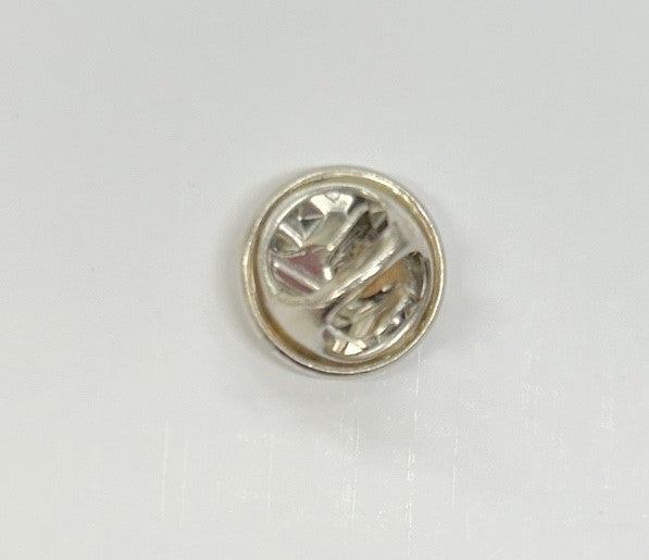 Buffalo Tourist Pin             #895-9813