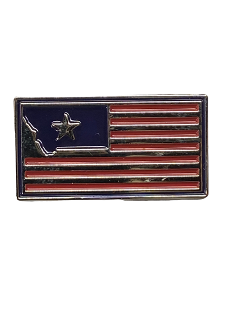 Montana USA Flag  Pin